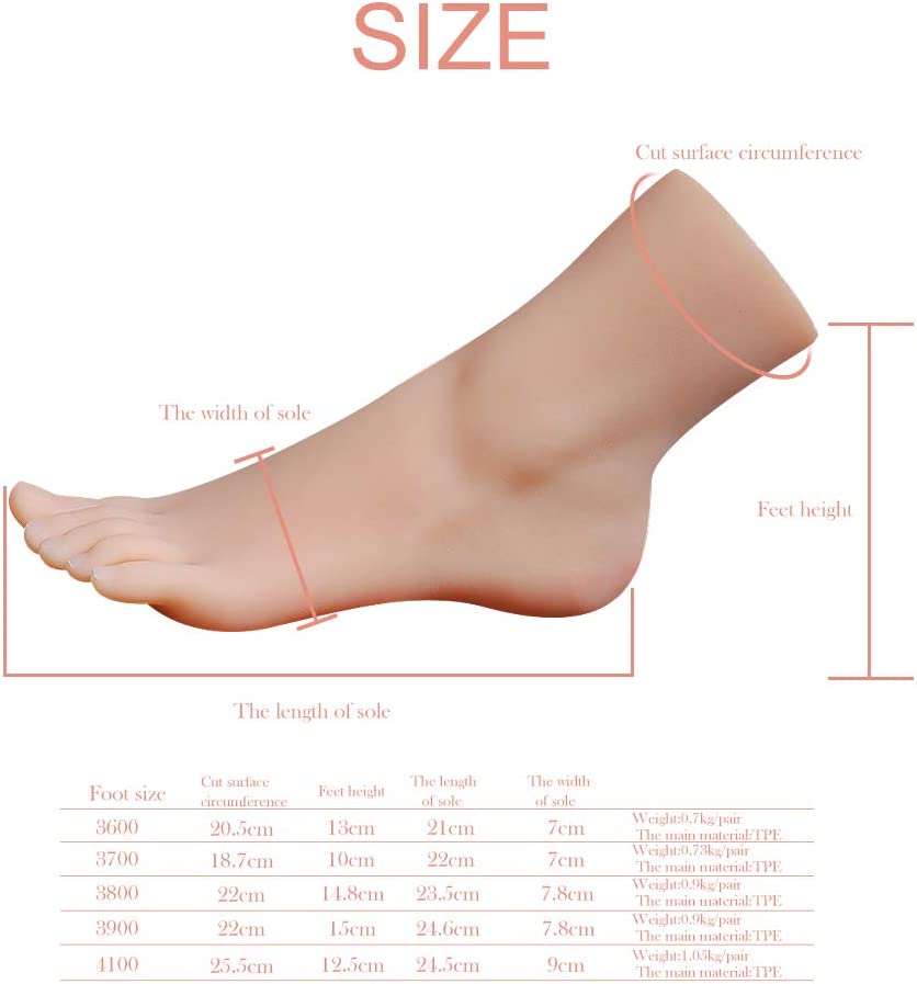 Weibliches Fußmodell aus Silikon 